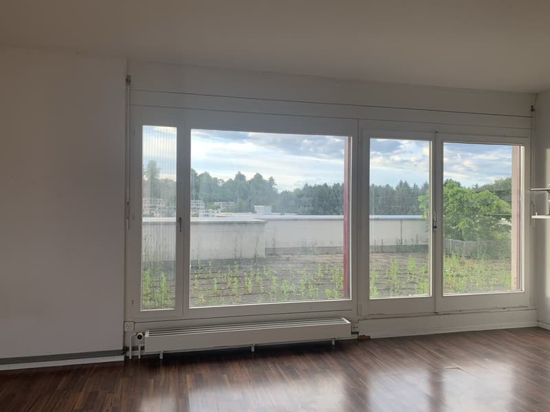 Appartement central, calme, avec terrasse de 100m2 sur le toit (3)