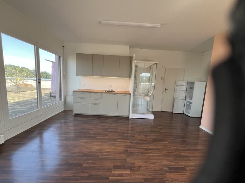 Appartement central, calme, avec terrasse de 100m2 sur le toit (2)