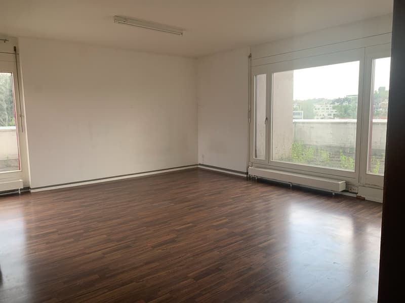 Appartement central, calme, avec terrasse de 100m2 sur le toit (5)