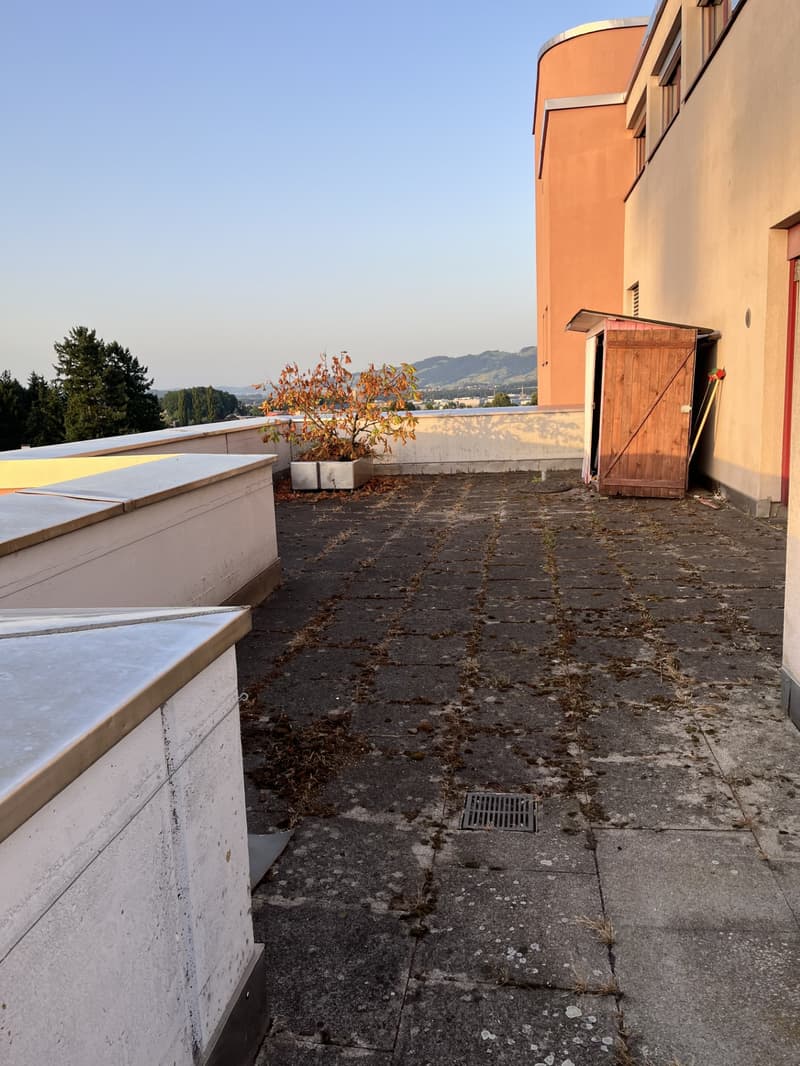 Appartement central, calme, avec terrasse de 100m2 sur le toit (7)
