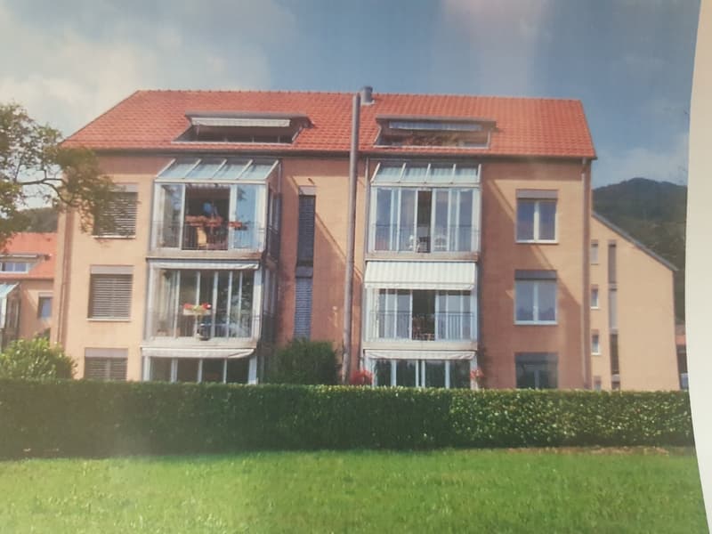 Très beau, nouvellement rénové, appartement 3 1/2 pièces (1)