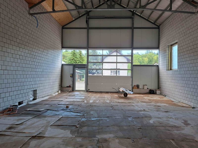 Gewerbe-/Industrieobjekt zur Miete in Bülach (2)