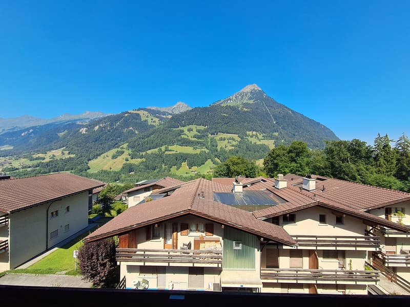 2.5 Zimmerwohnung in Reichenbach mit Balkon Süd/West und Cheminée (1)