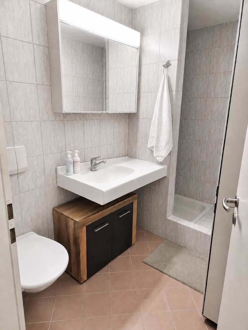Lichtdurchflutete 4.5-Zimmer-Attika-Maisonette mit Tiefgaragenplatz, St. Gallen (16)