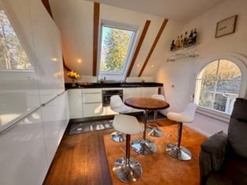 3.5-Zimmer Attika - Penthouse + Gästehaus. Option: Mehrgenerationen-Haus (4)