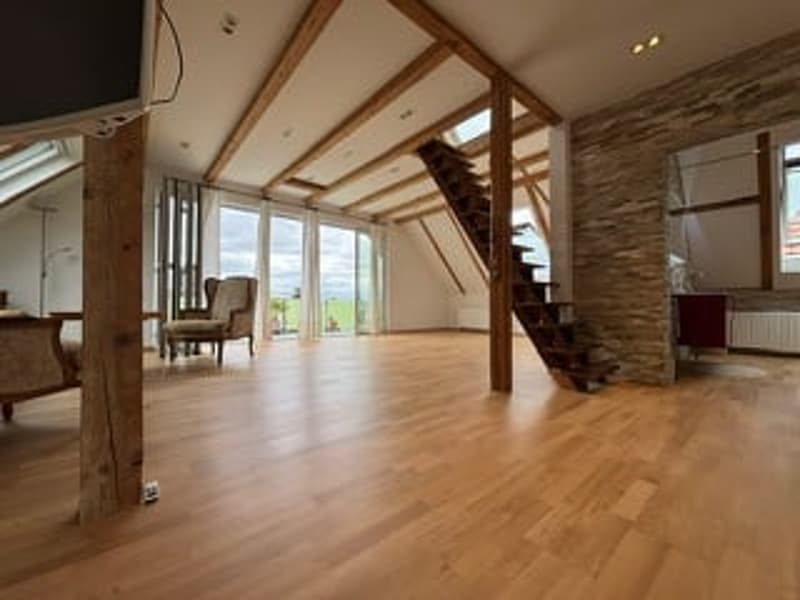 3.5-Zimmer Attika - Penthouse + Gästehaus. Option: Mehrgenerationen-Haus (3)