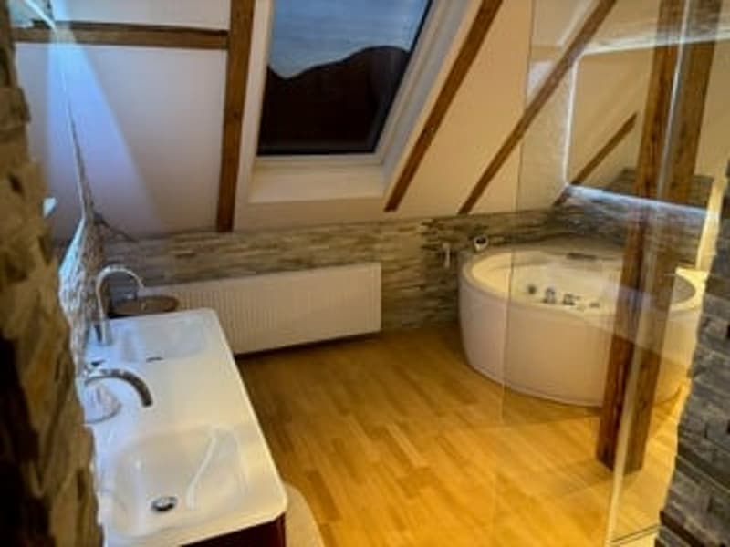 3.5-Zimmer Attika - Penthouse + Gästehaus. Option: Mehrgenerationen-Haus (5)