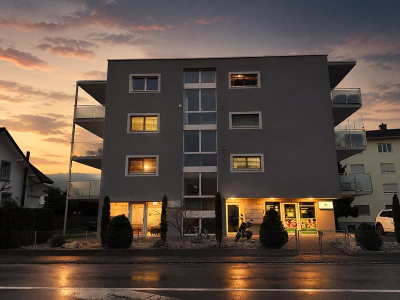 !!! Büro oder Praxis !!! Beste Lage!!! Neubau!!! Im Zentrum von Reinach!!! (1)