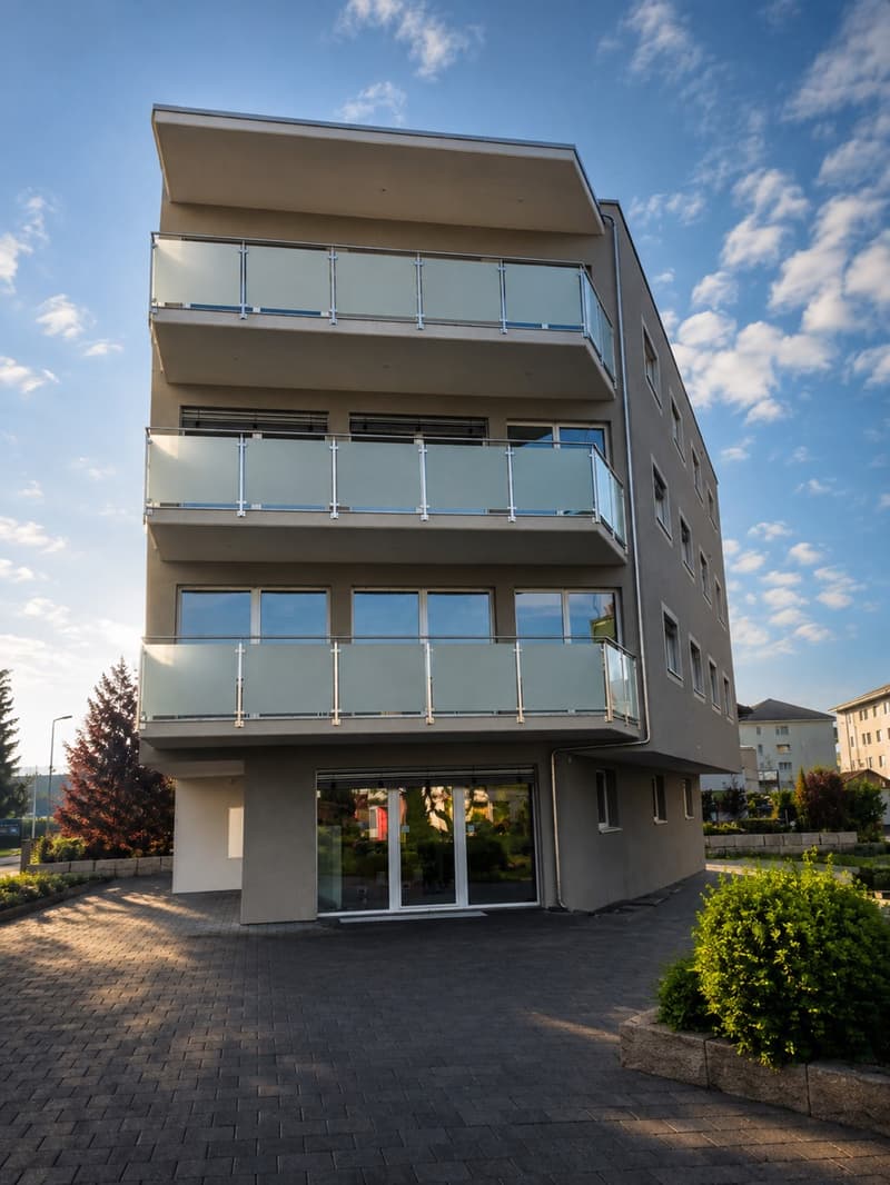 !!! Büro oder Praxis !!! Beste Lage!!! Neubau!!! Im Zentrum von Reinach!!! (2)