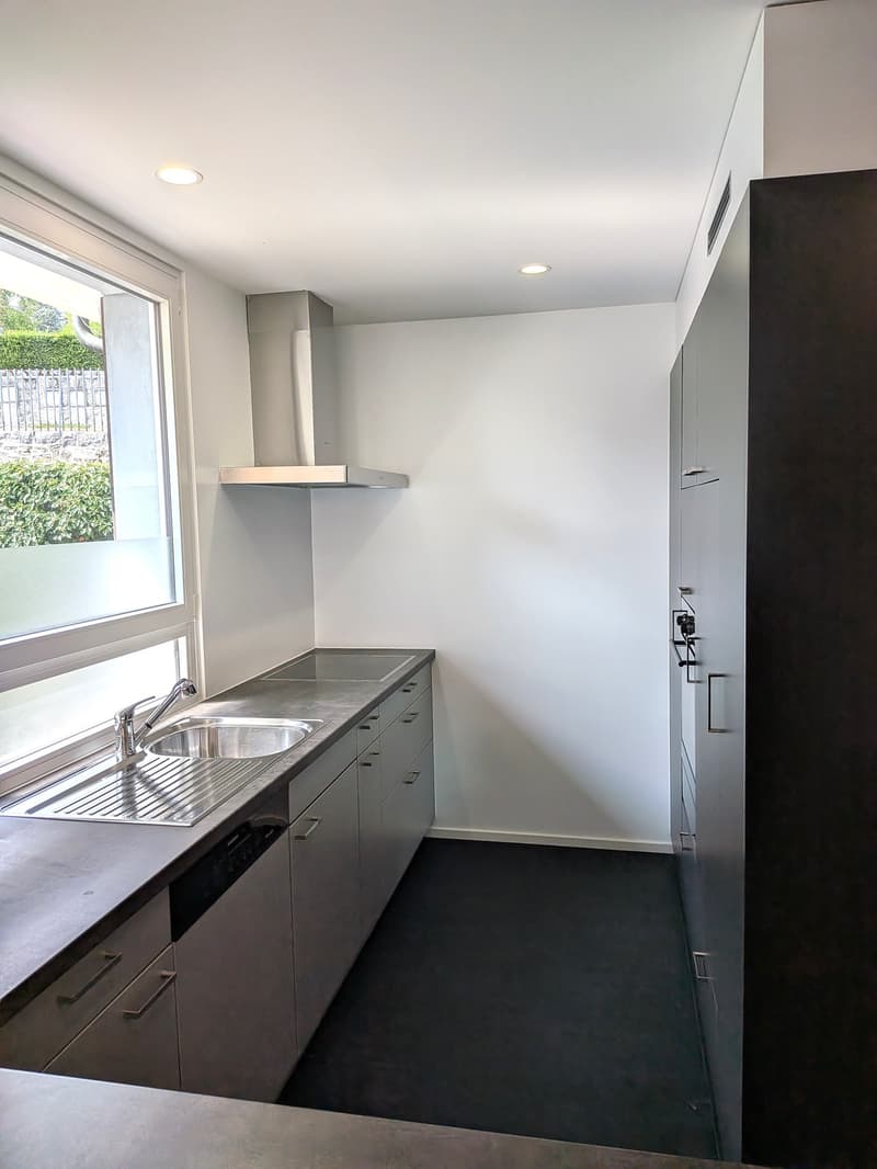 Grand duplex 6.5 pièces avec vue panoramique sur le lac et les Alpes, jardin privé (6)
