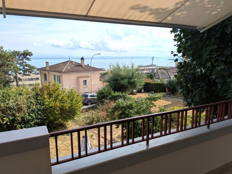 Grand duplex 6.5 pièces avec vue panoramique sur le lac et les Alpes, jardin privé (2)