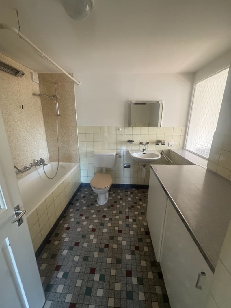 Helle 5.5 Zimmer Wohnung (8)