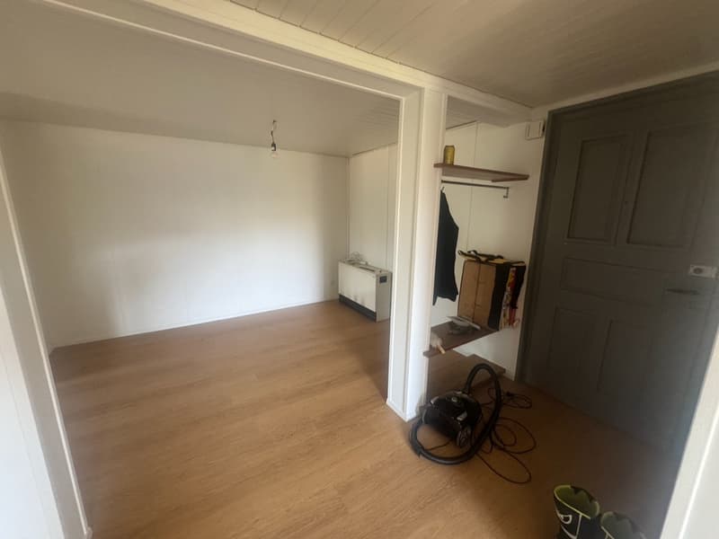 Helle 5.5 Zimmer Wohnung (3)