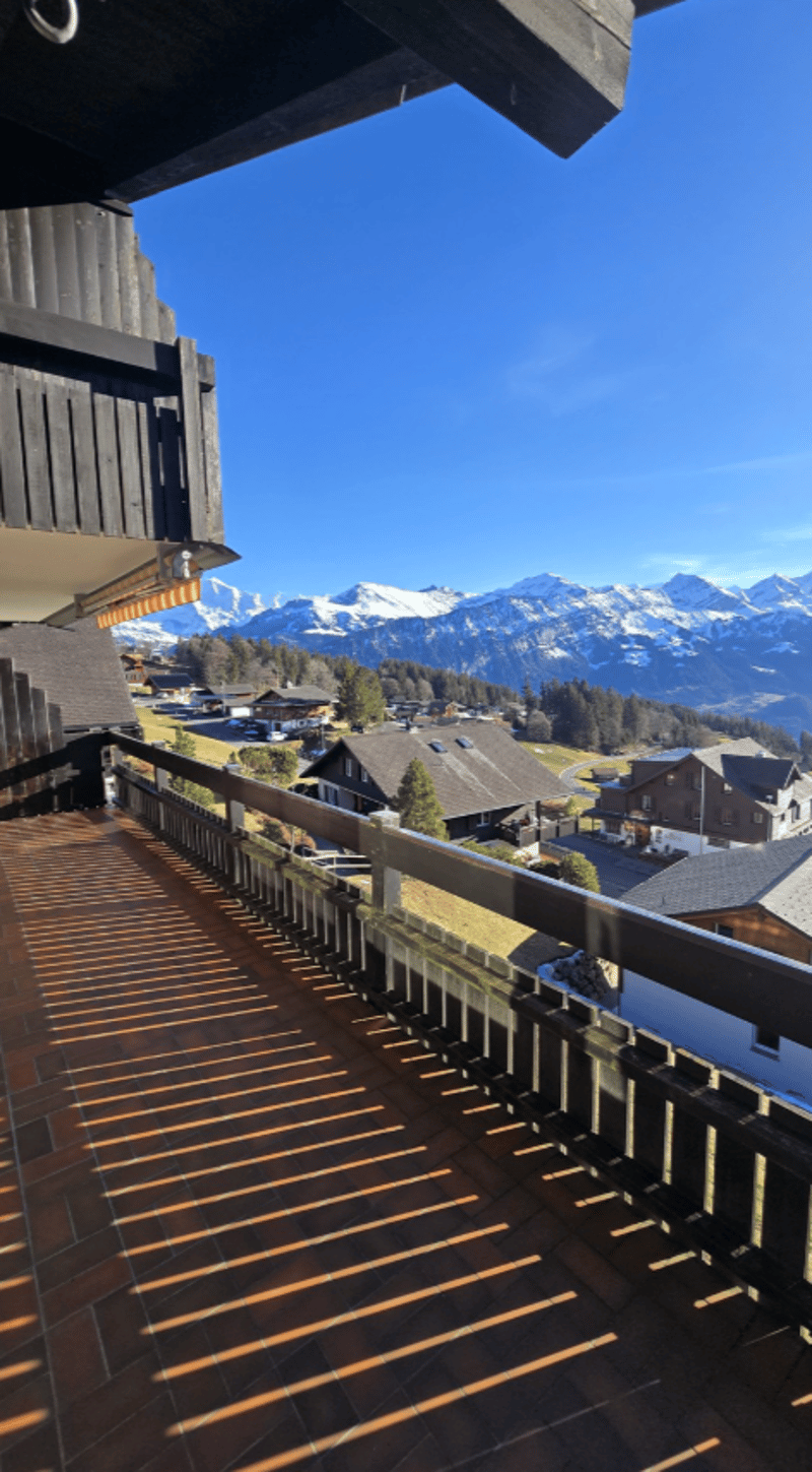 Grosszügige 3-Zimmer-Wohnung mit traumhafter See- und Bergsicht (1)