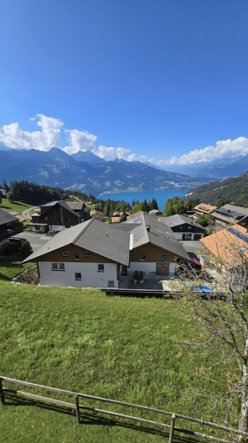 Grosszügige 3-Zimmer-Wohnung mit traumhafter See- und Bergsicht (20)