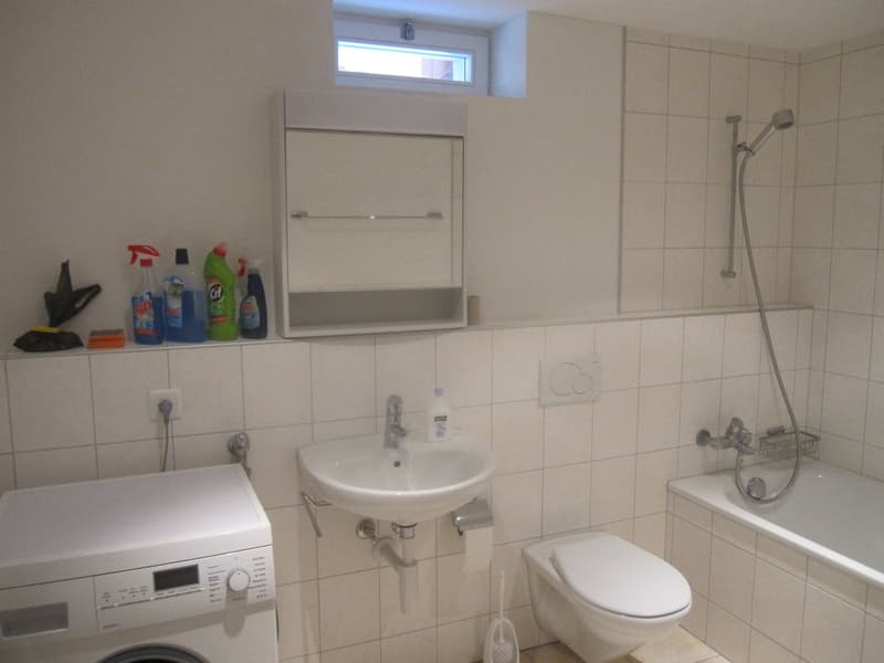 Im Zentrum von Wädenswil moderne 2,5-Zimmer Wohnung (3)