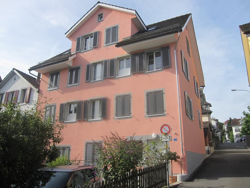 Im Zentrum von Wädenswil moderne 2,5-Zimmer Wohnung (1)