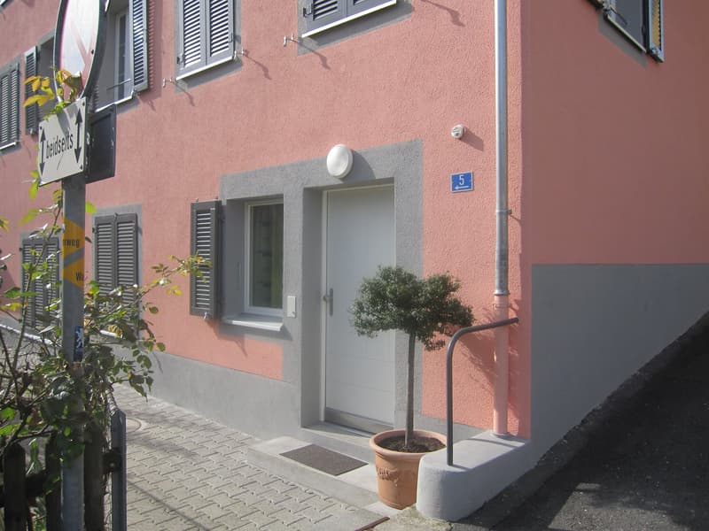 Im Zentrum von Wädenswil moderne 2,5-Zimmer Wohnung (2)