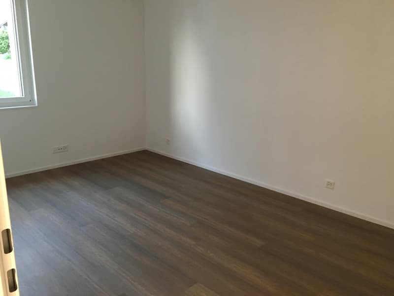 Grosse 3 1/2 Zimmerwohnung mit traumhafter Aussicht (5)