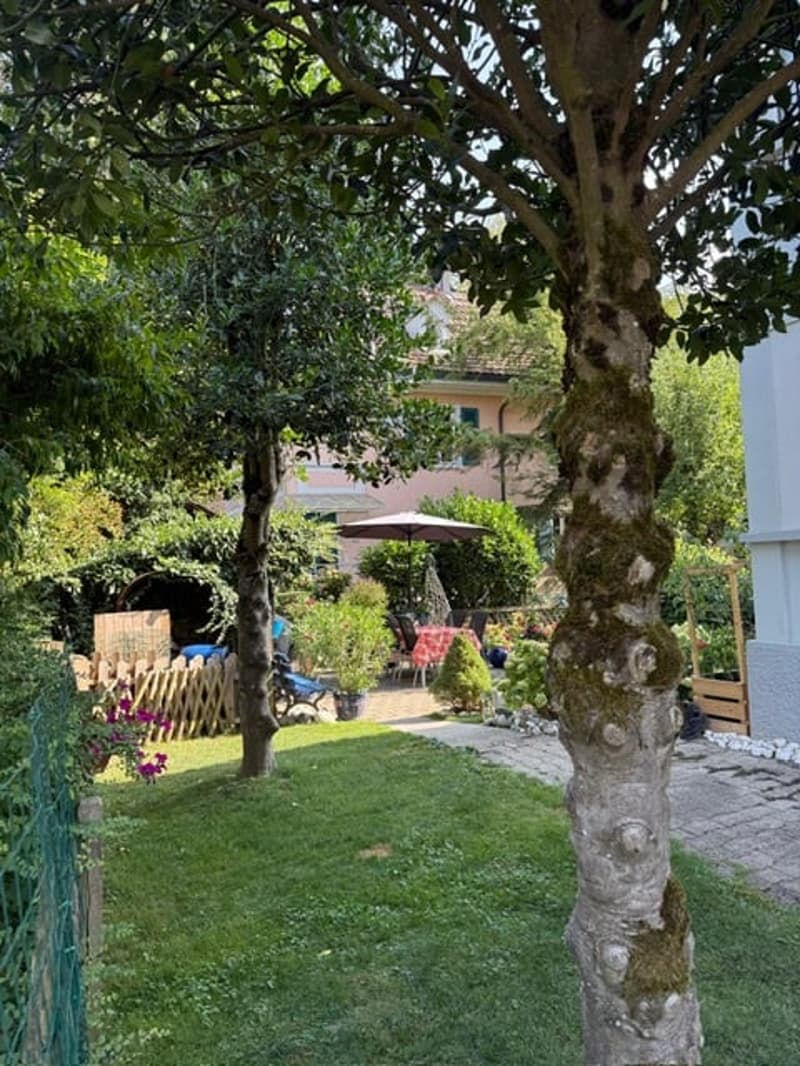 3 1/2 Wohnung in Oberburg zu vermieten (1)