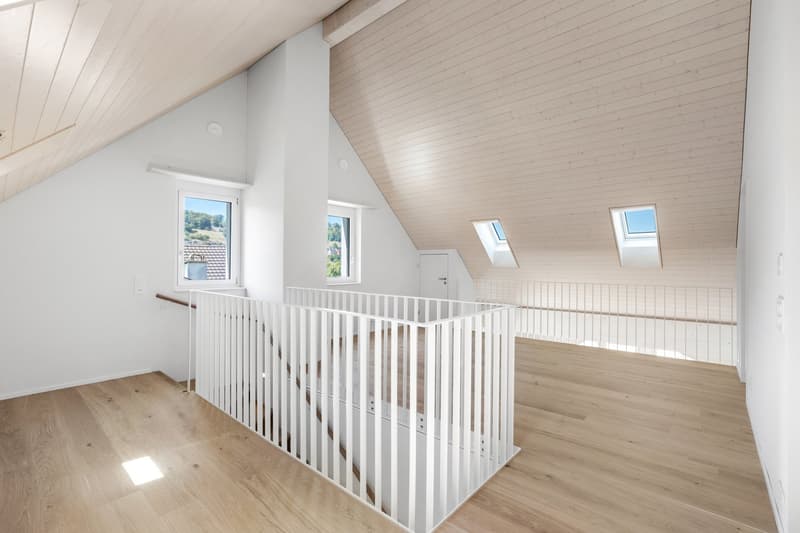 Erstbezug: Stilvolle und grosszügige Maisonette-Wohnung (19)