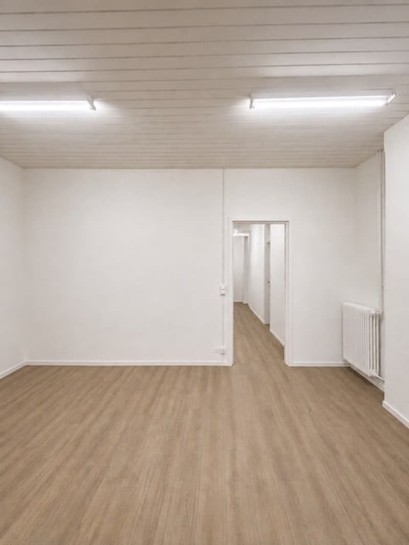 LOCAL COMMERCIAL-VITRINE-REZ (3)