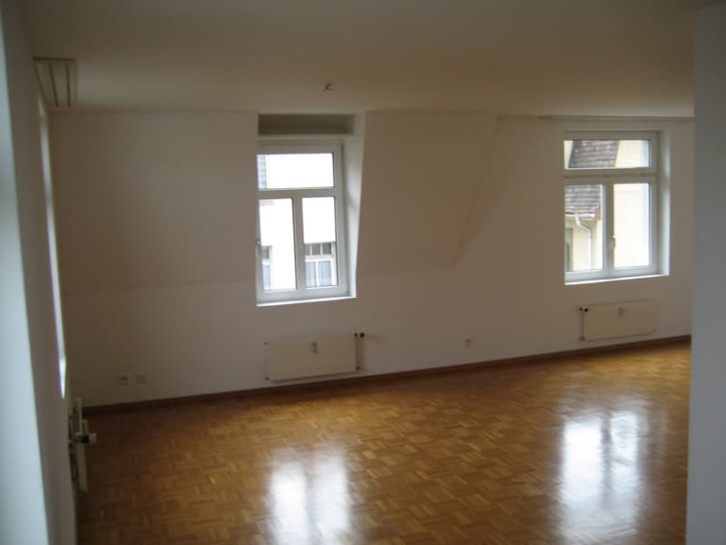 Charmante Attikawohnung in ruhiger Lage (8)