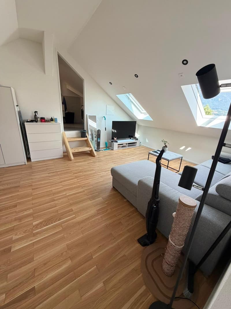 Kernsanierte, moderne 1.5-Zimmer-Dachwohnung in Sevelen (2)