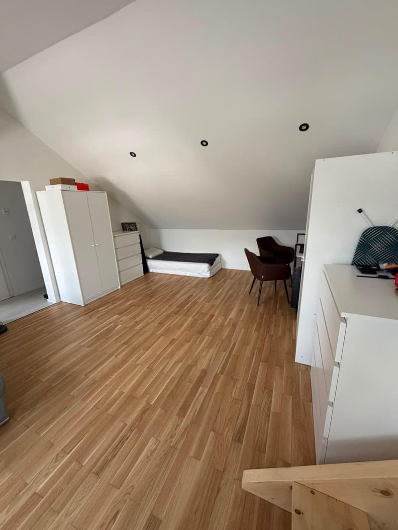 Kernsanierte, moderne 1.5-Zimmer-Dachwohnung in Sevelen (3)