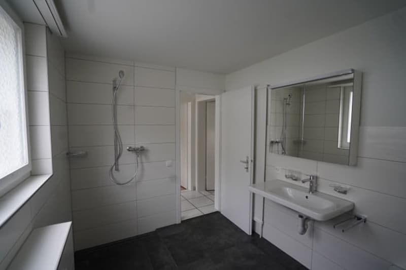 Ruhige 4-Zimmer-Altbauwohnung mit Alpensicht und Garten (9)