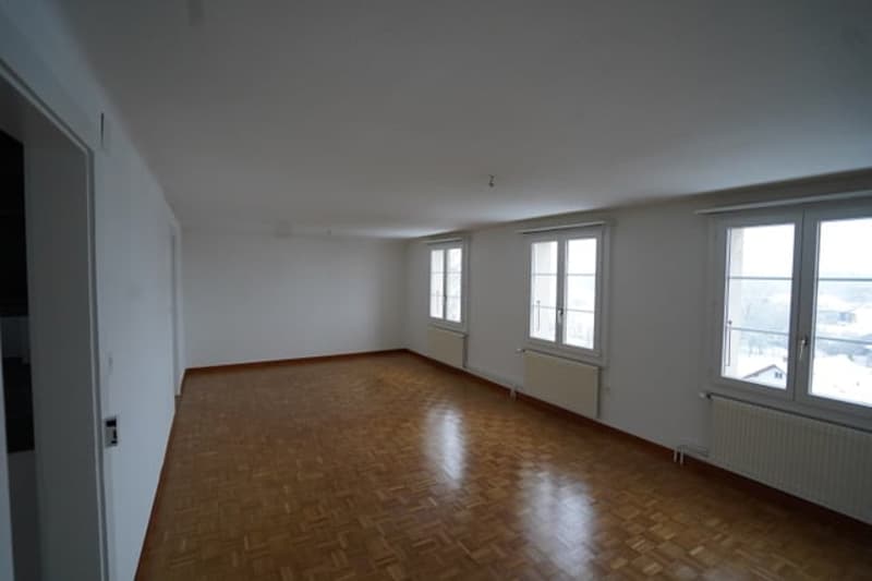 Ruhige 4-Zimmer-Altbauwohnung mit Alpensicht und Garten (4)