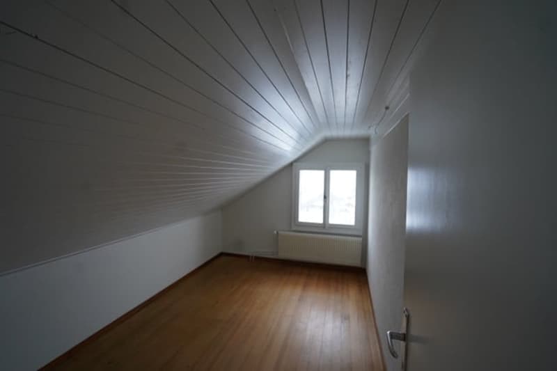 Ruhige 4-Zimmer-Altbauwohnung mit Alpensicht und Garten (6)