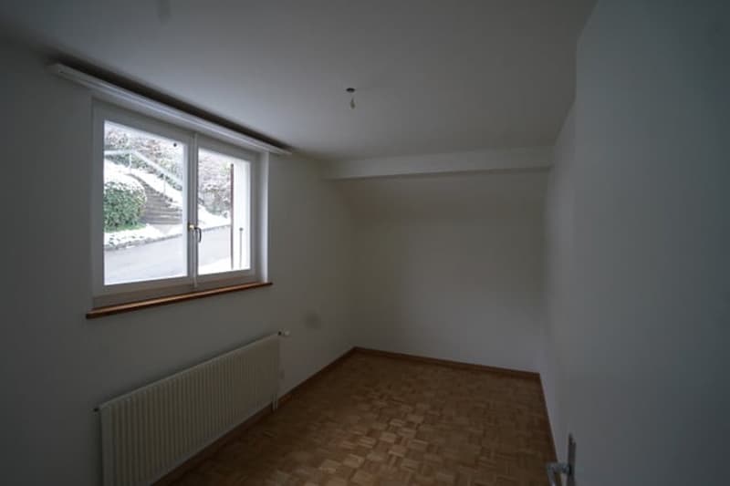 Ruhige 4-Zimmer-Altbauwohnung mit Alpensicht und Garten (7)