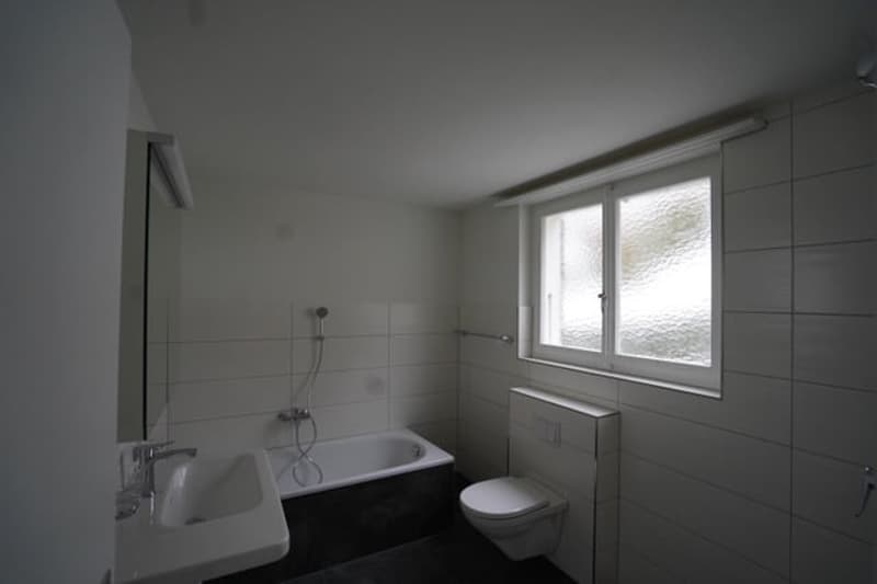 Ruhige 4-Zimmer-Altbauwohnung mit Alpensicht und Garten (8)