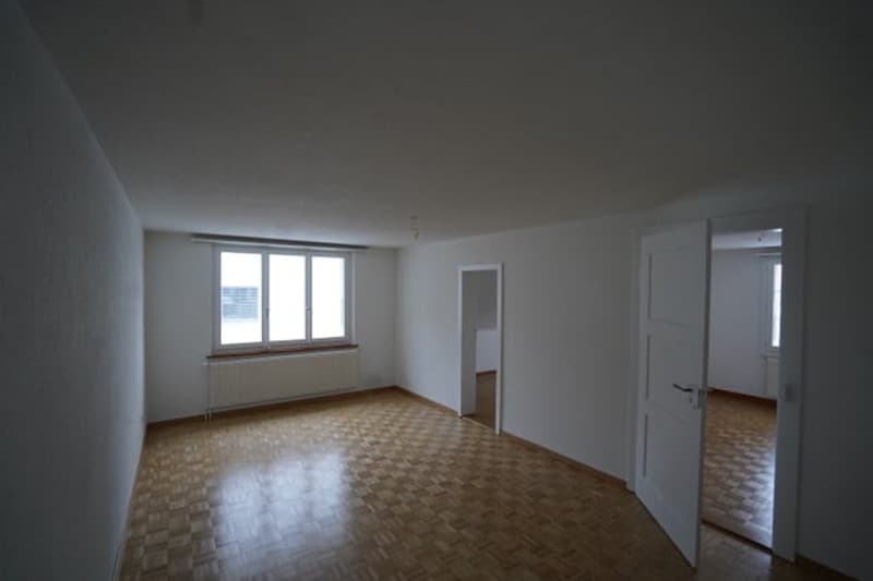 Ruhige 4-Zimmer-Altbauwohnung mit Alpensicht und Garten (5)