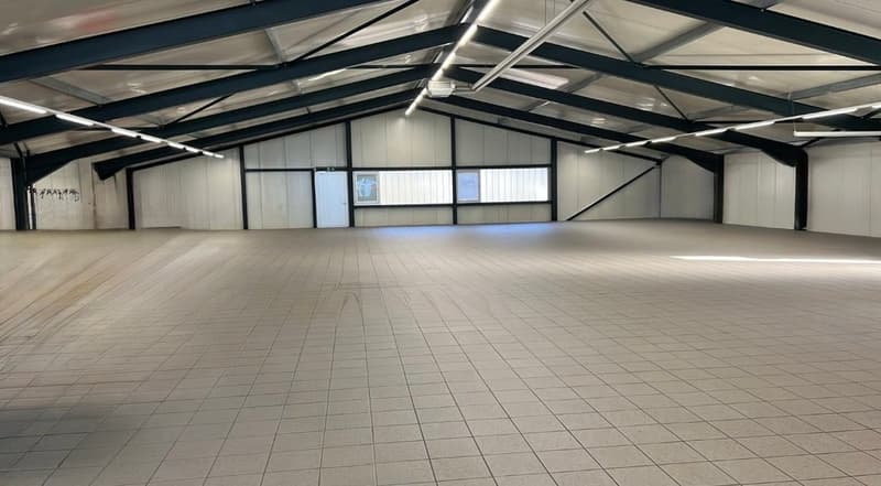 Hochwertige Gewerbefläche in Meilen – ca. 350 m² (9)