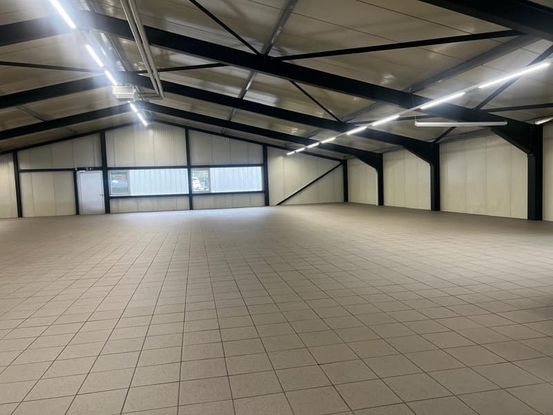 Hochwertige Gewerbefläche in Meilen – ca. 350 m² (3)