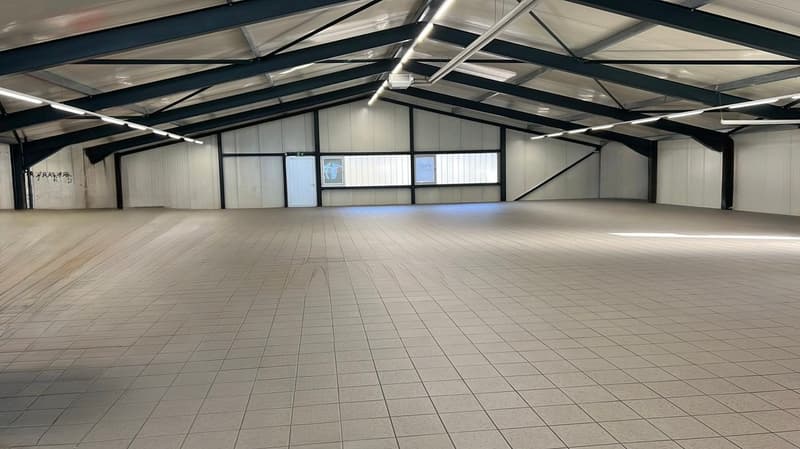 Hochwertige Gewerbefläche in Meilen – ca. 350 m² (7)