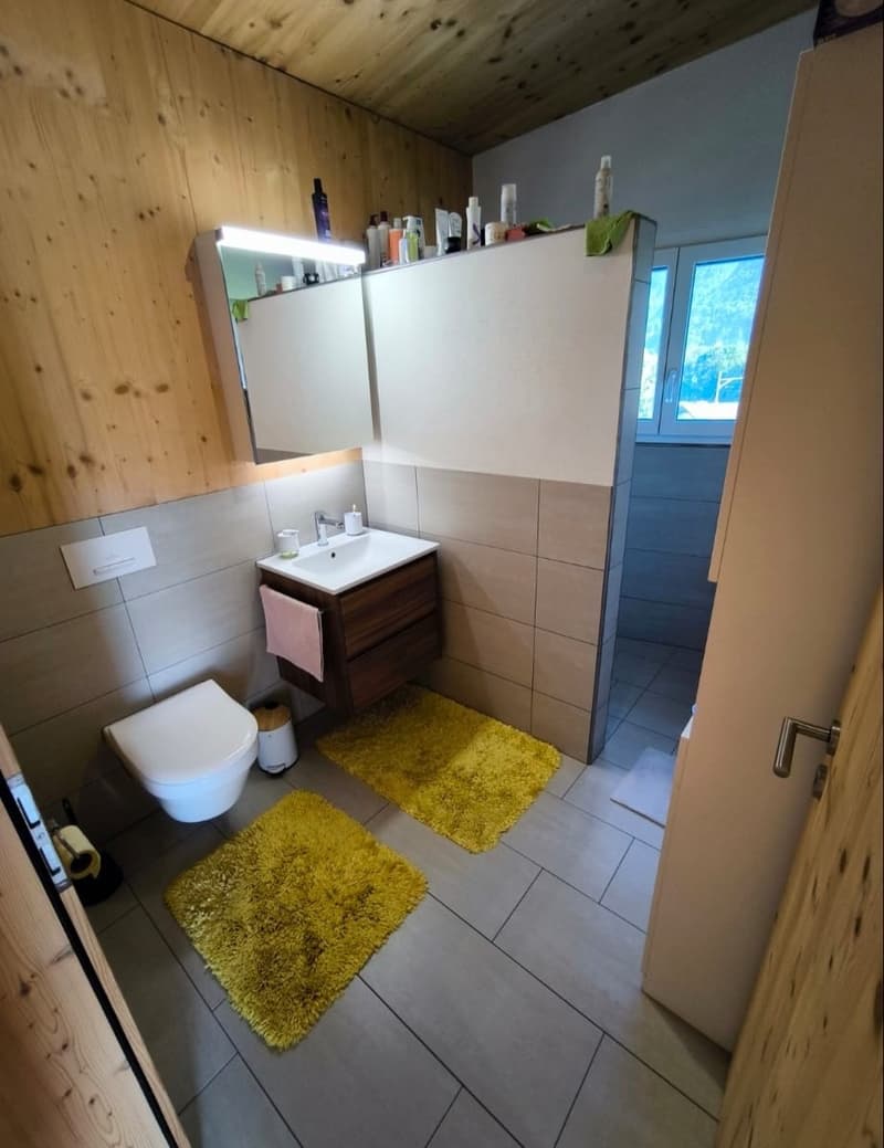 Modernes, freistehendes 6 1/2 Zimmer- Holzhaus mit Seesicht/Ufernähe (23)