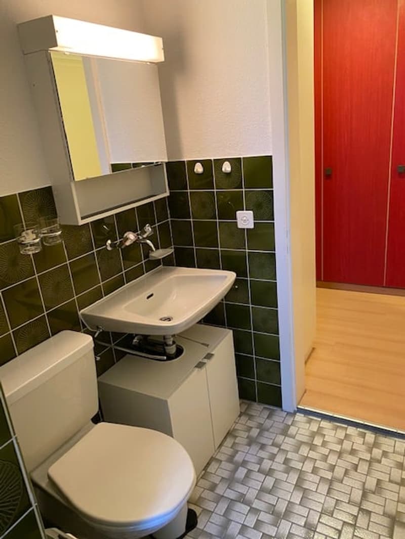 Ruhige gepflegte 1 Zimmer Wohnung (11)