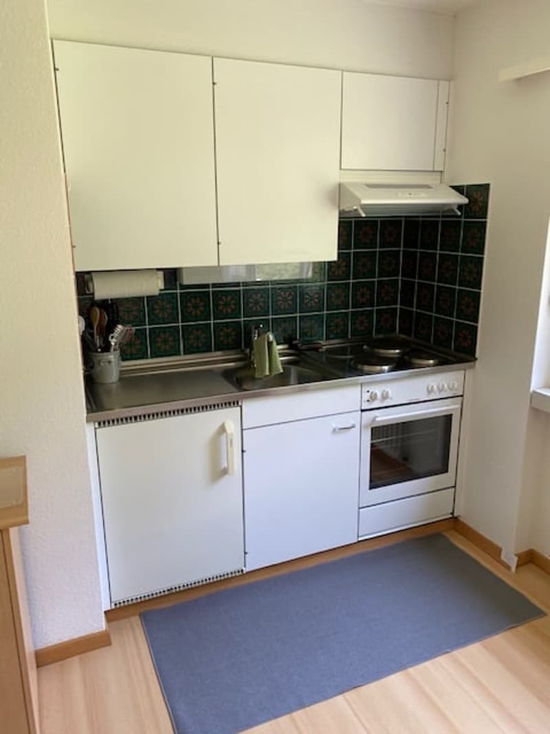 Ruhige gepflegte 1 Zimmer Wohnung (6)