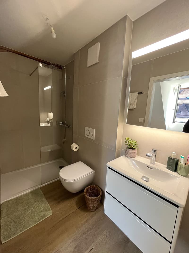 A reprendre dès le 1er novembre - Magnifique appartement de 3.5 pièces à Peseux (6)