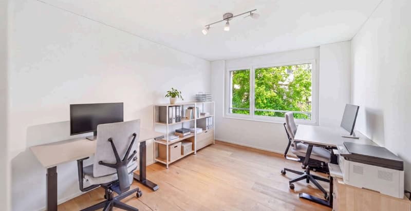 Grosszügige 4.5-Zimmer-Wohnung mit Terrasse in Uster (10)