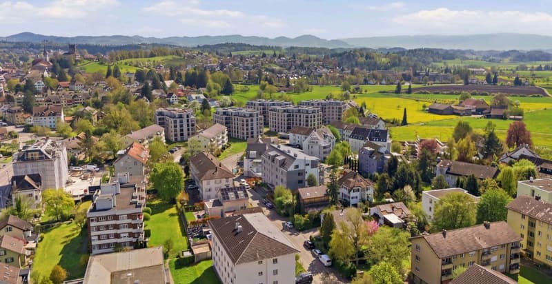 Grosszügige 4.5-Zimmer-Wohnung mit Terrasse in Uster (26)