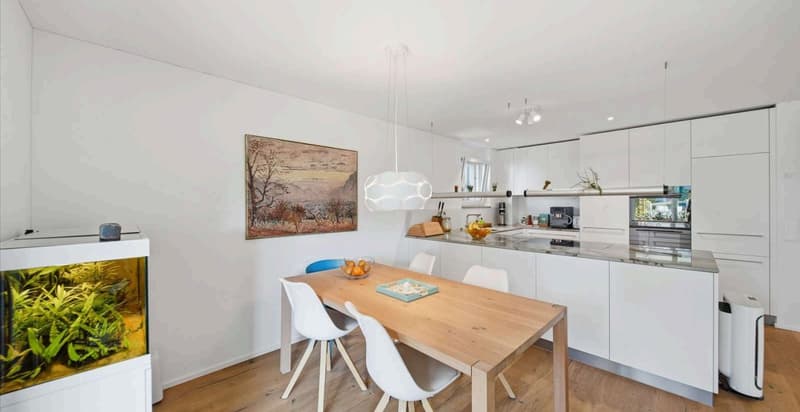 Grosszügige 4.5-Zimmer-Wohnung mit Terrasse in Uster (3)