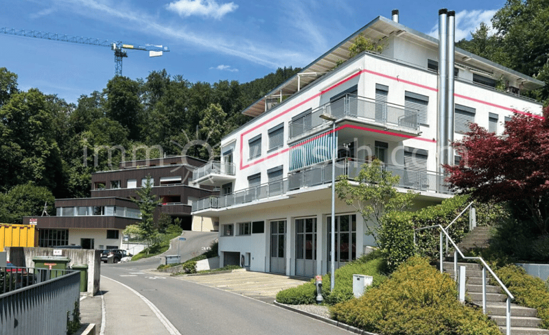 Exklusive 4 ½ Zi. EGTW mit traumhafter Seesicht in Walchwil (10)