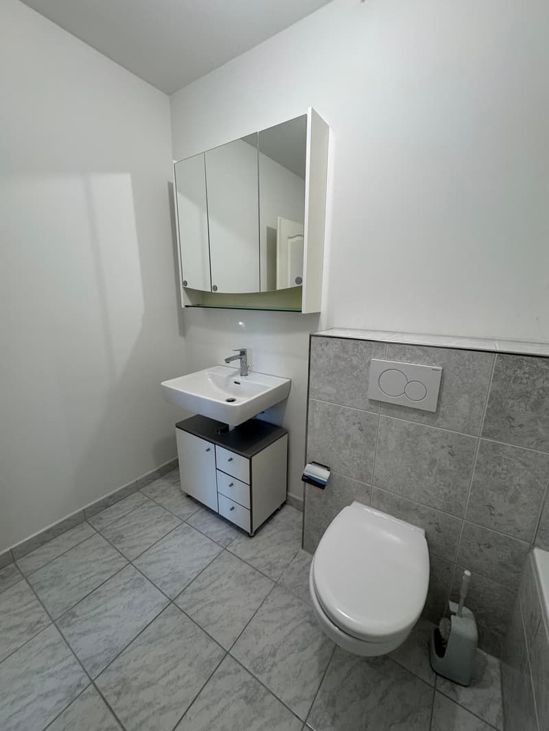 Helle 3-Zimmer-Wohnung in Schwerzenbach – sofort verfügbar! (4)