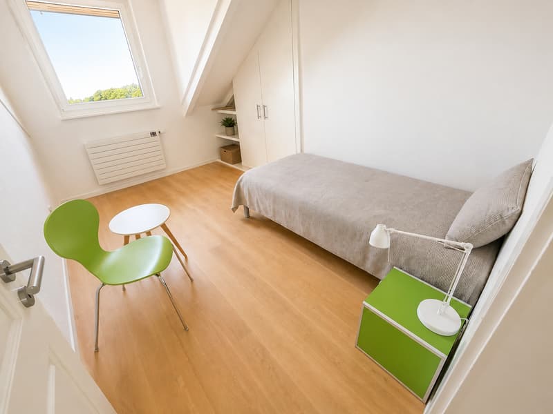 EPALINGES - 6 chambres en villa de standing – EHL à 10 min – Jardin & terrasse (9)