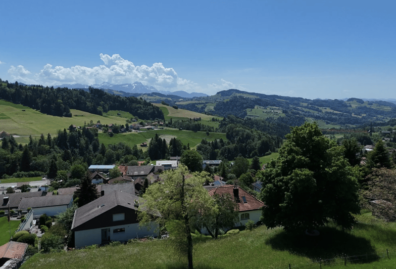 Charmantes 8.5-Zimmer-Einfamilienhaus an privilegierter Südhanglage (12)