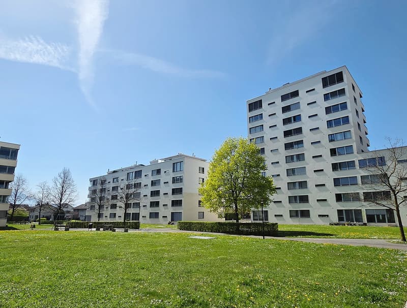 Grosszügige 3.5-Zimmer-Wohnung im ruhigen Wohnpark Feldhof in Zug (1)